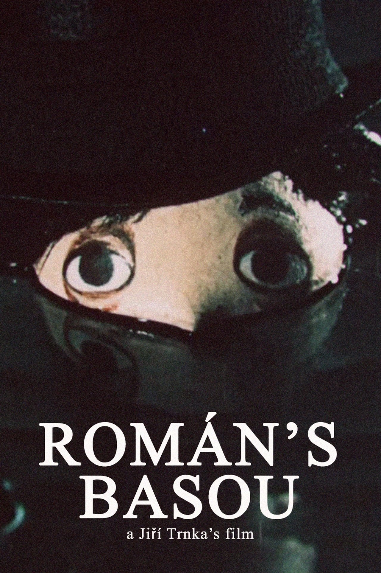 enlarged Poster 0