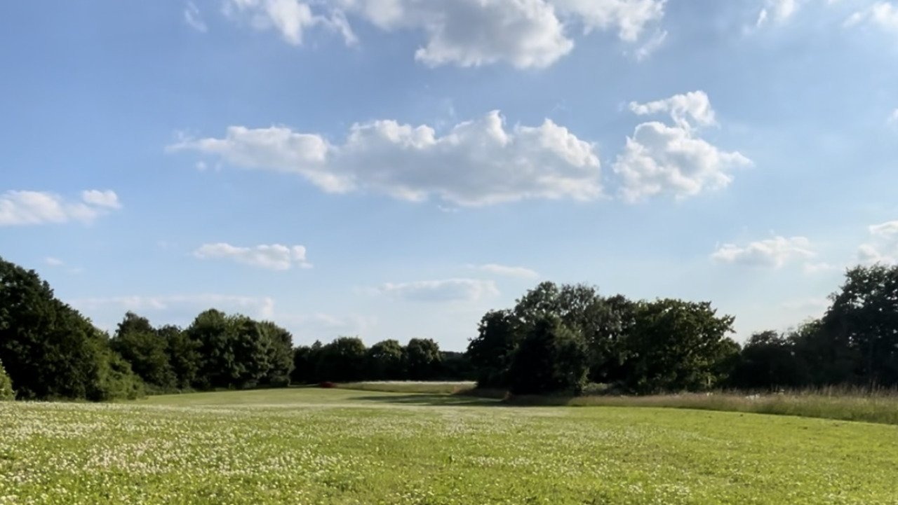 A Long Run (A sequel) backdrop