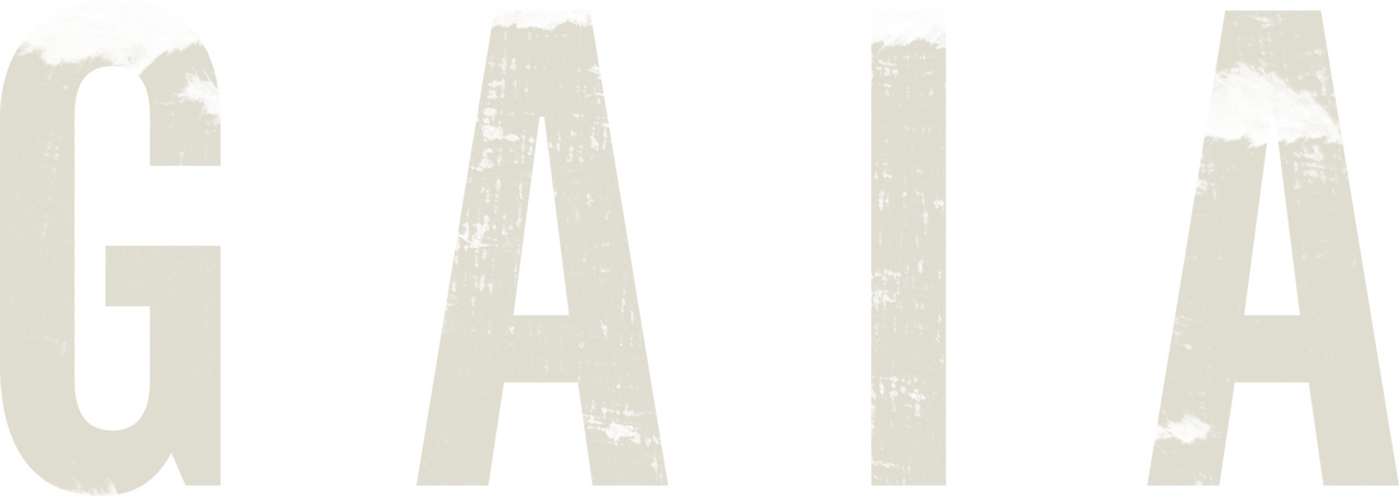 enlarged Logo 0