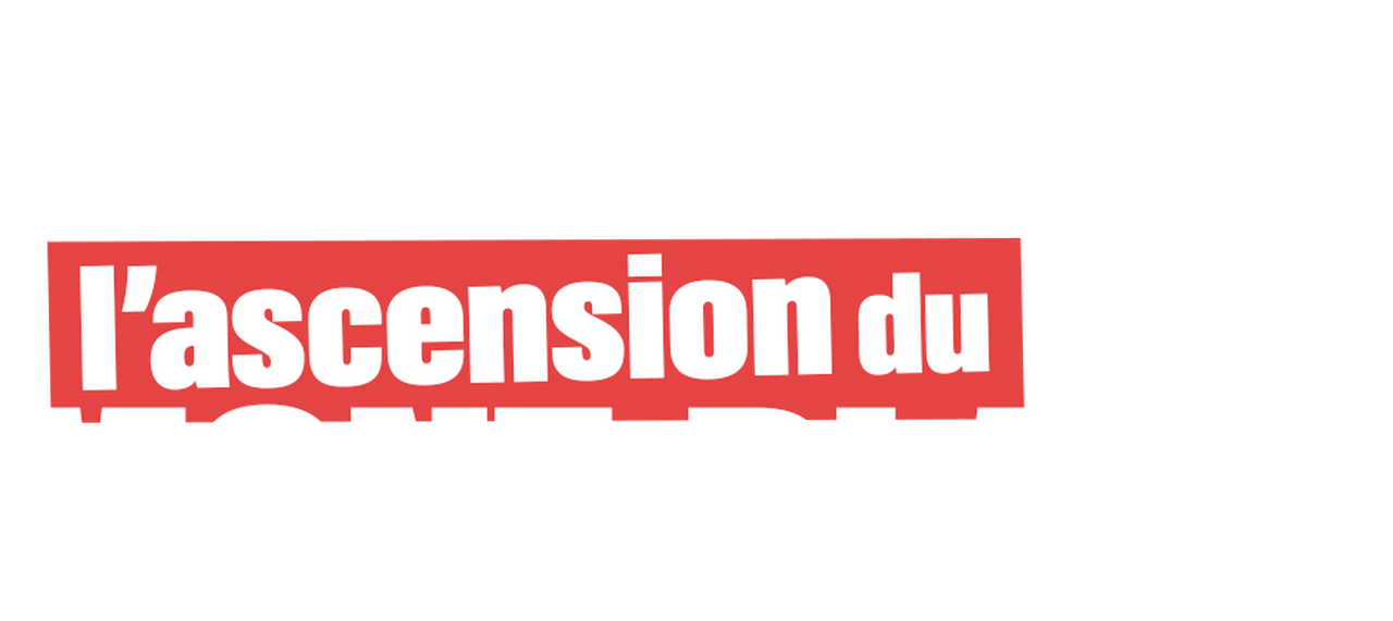 enlarged Logo 0