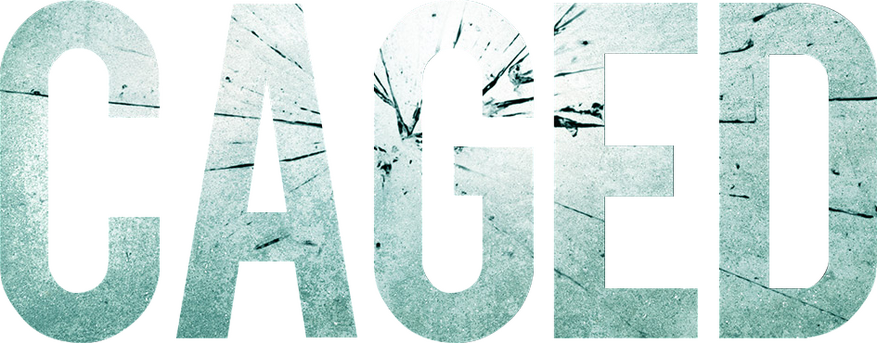 enlarged Logo 0