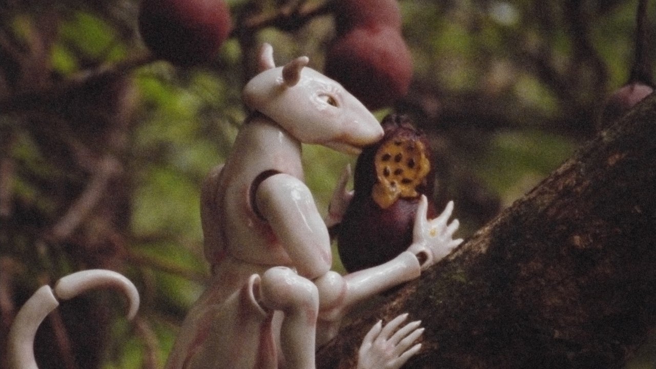 backdrop Winter In The Rainforest