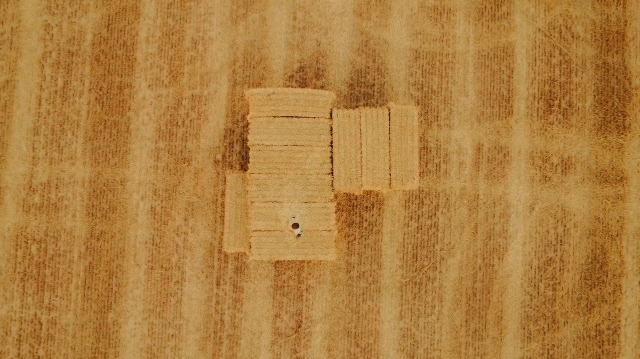 Katsu backdrop