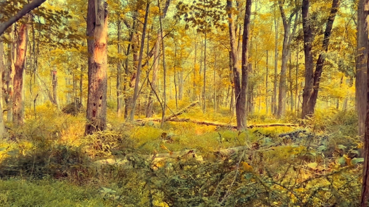 backdrop A Late Night Bottle of Water