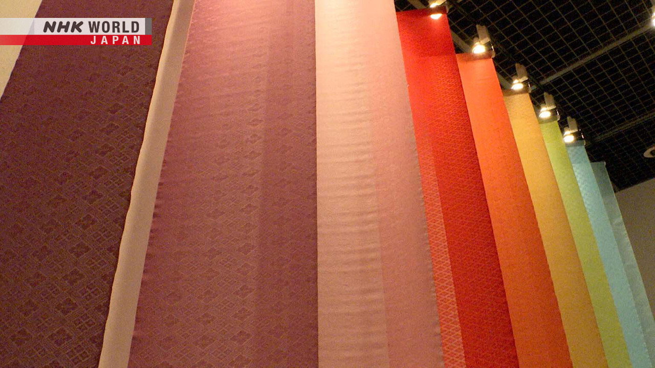 Yoshioka Sarasa: Preserving Japan's Ancient Colors