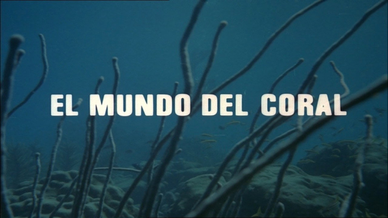The World of Coral