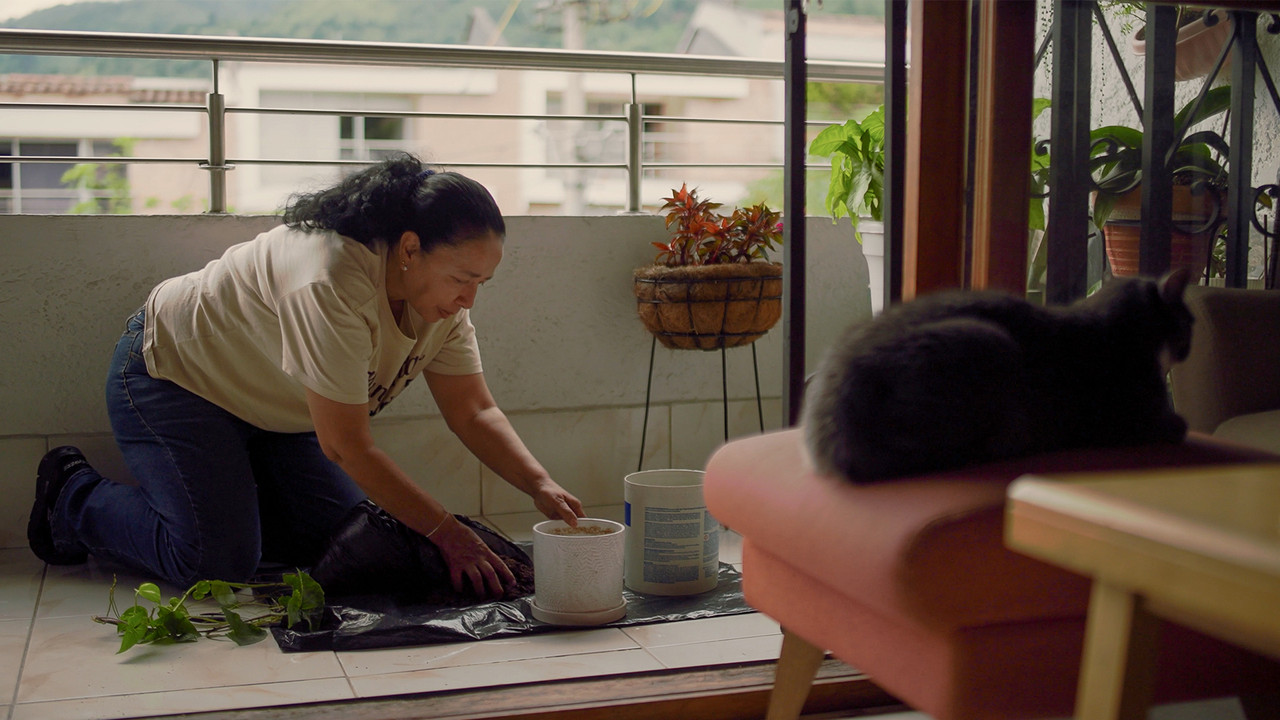 backdrop Cuidado de una Orquidea