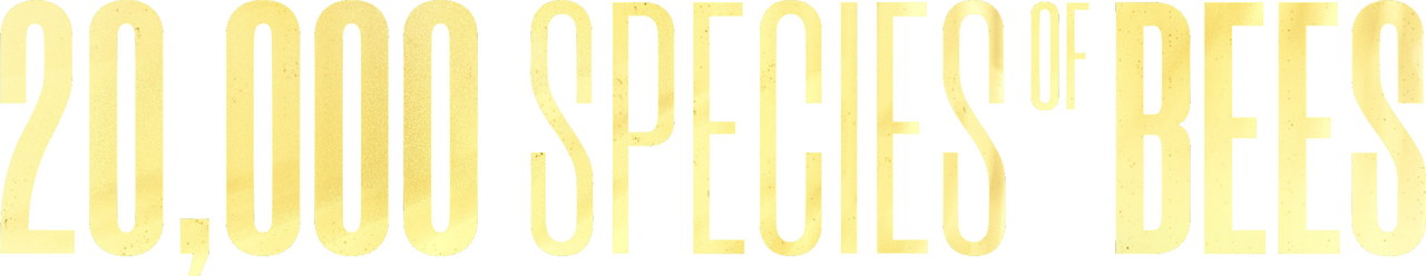 enlarged Logo 0