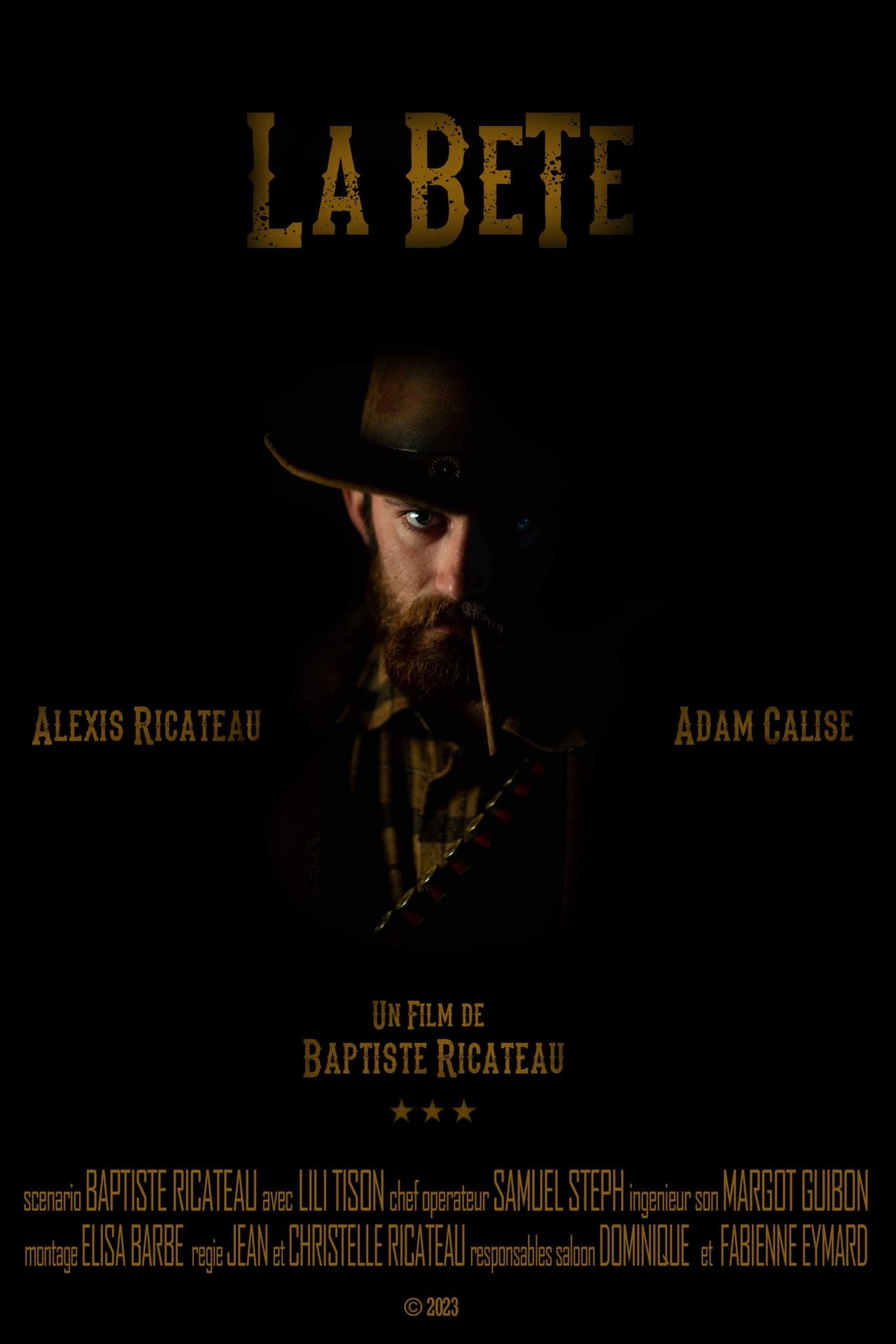 enlarged Poster 0