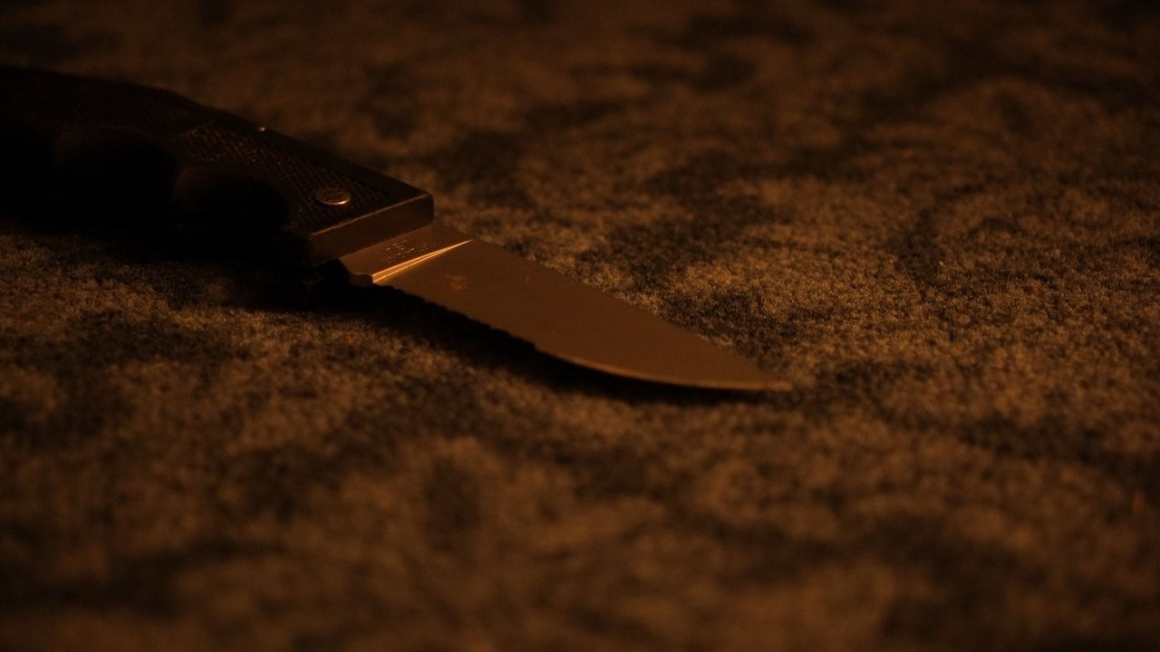 Butcher backdrop