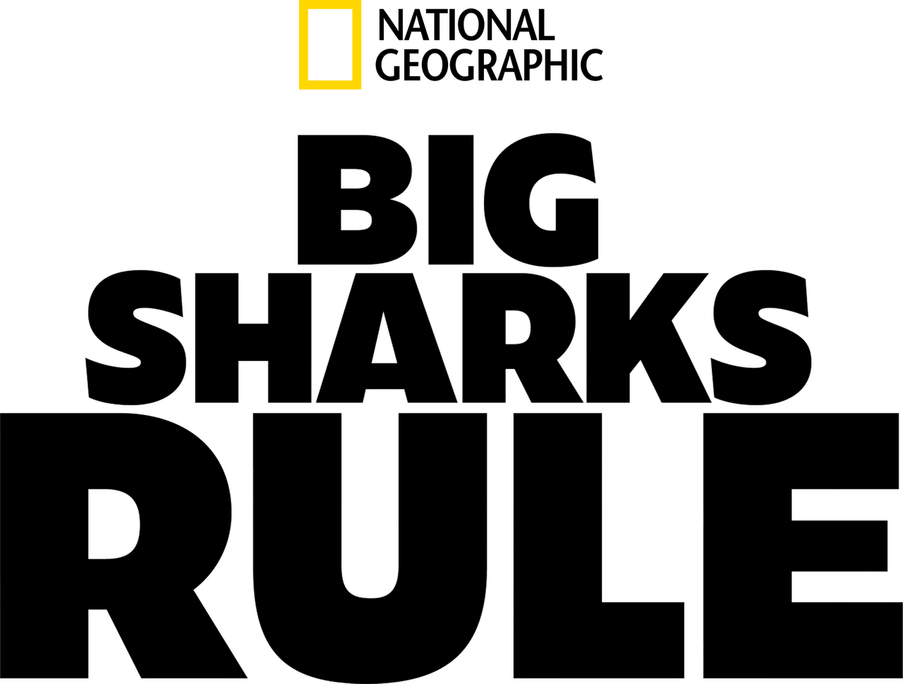 enlarged Logo 0