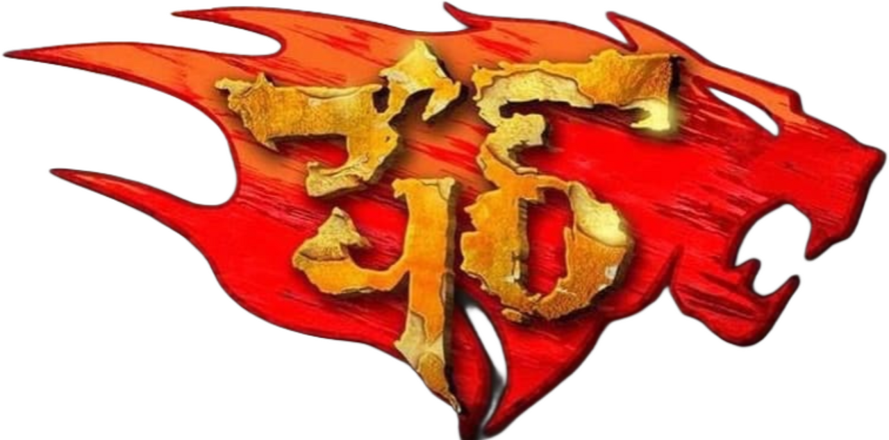 enlarged Logo 0
