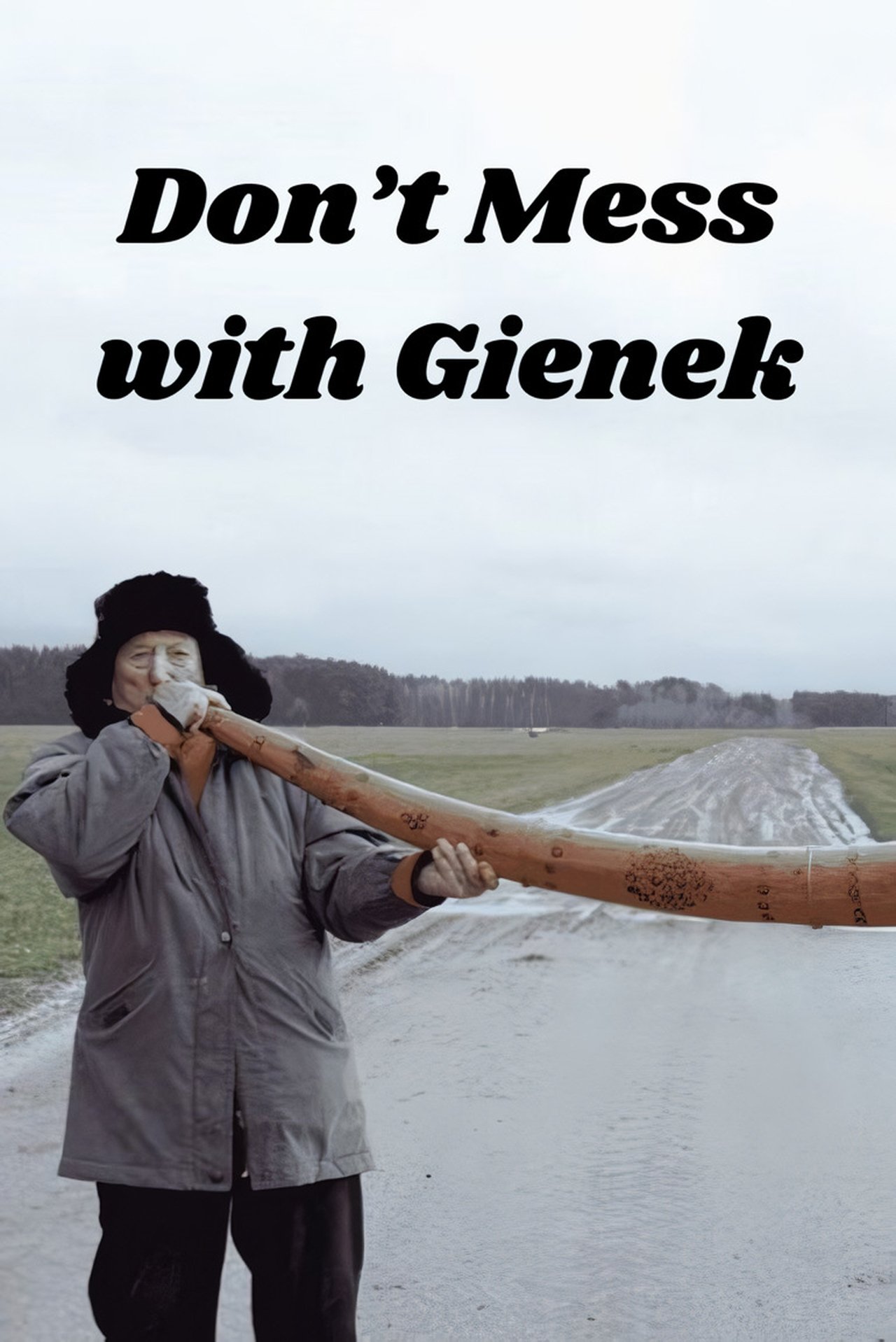enlarged Poster 0