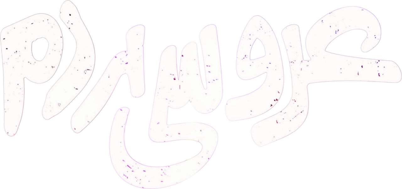 enlarged Logo 0