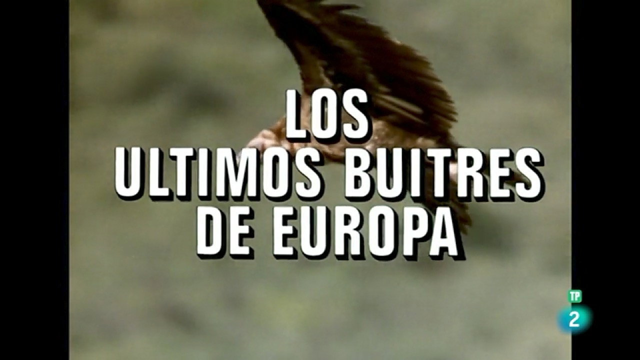 The Last Vultures of Europe