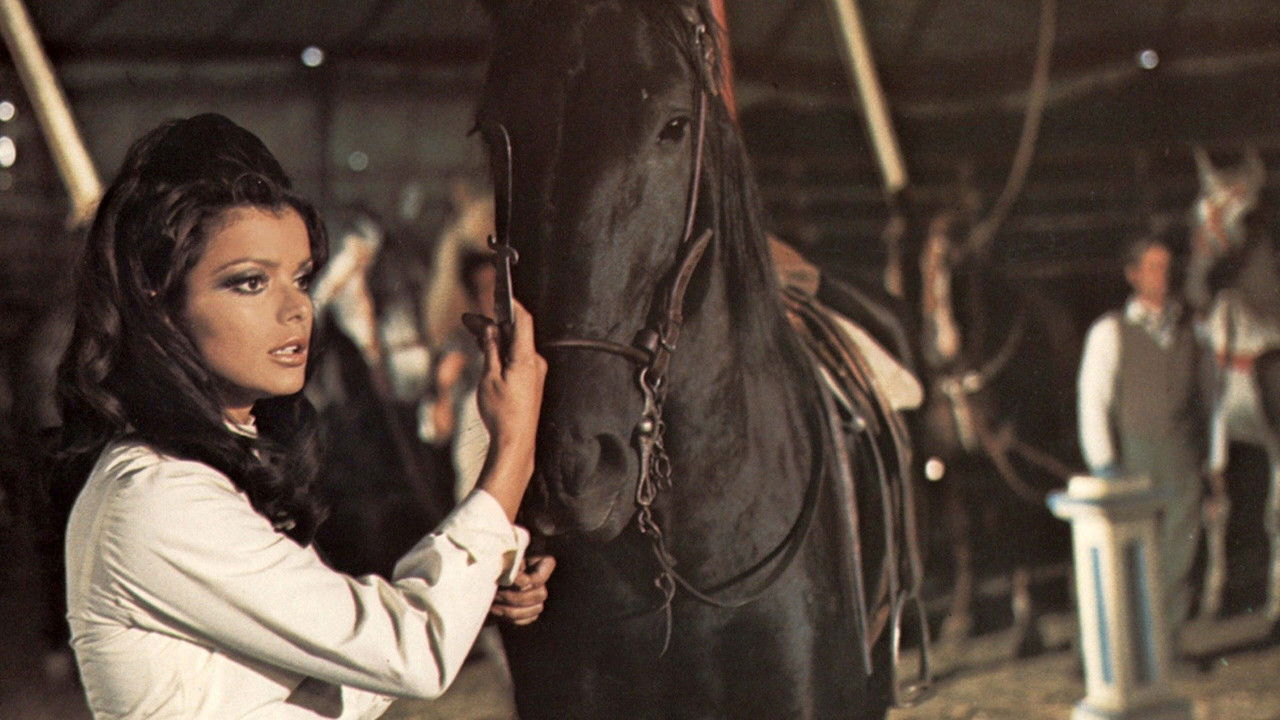 backdrop Black Beauty