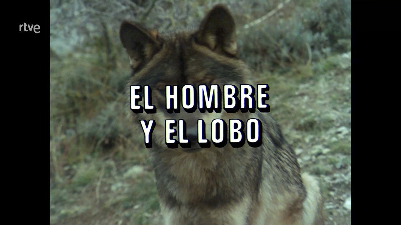 Man and the Wolf