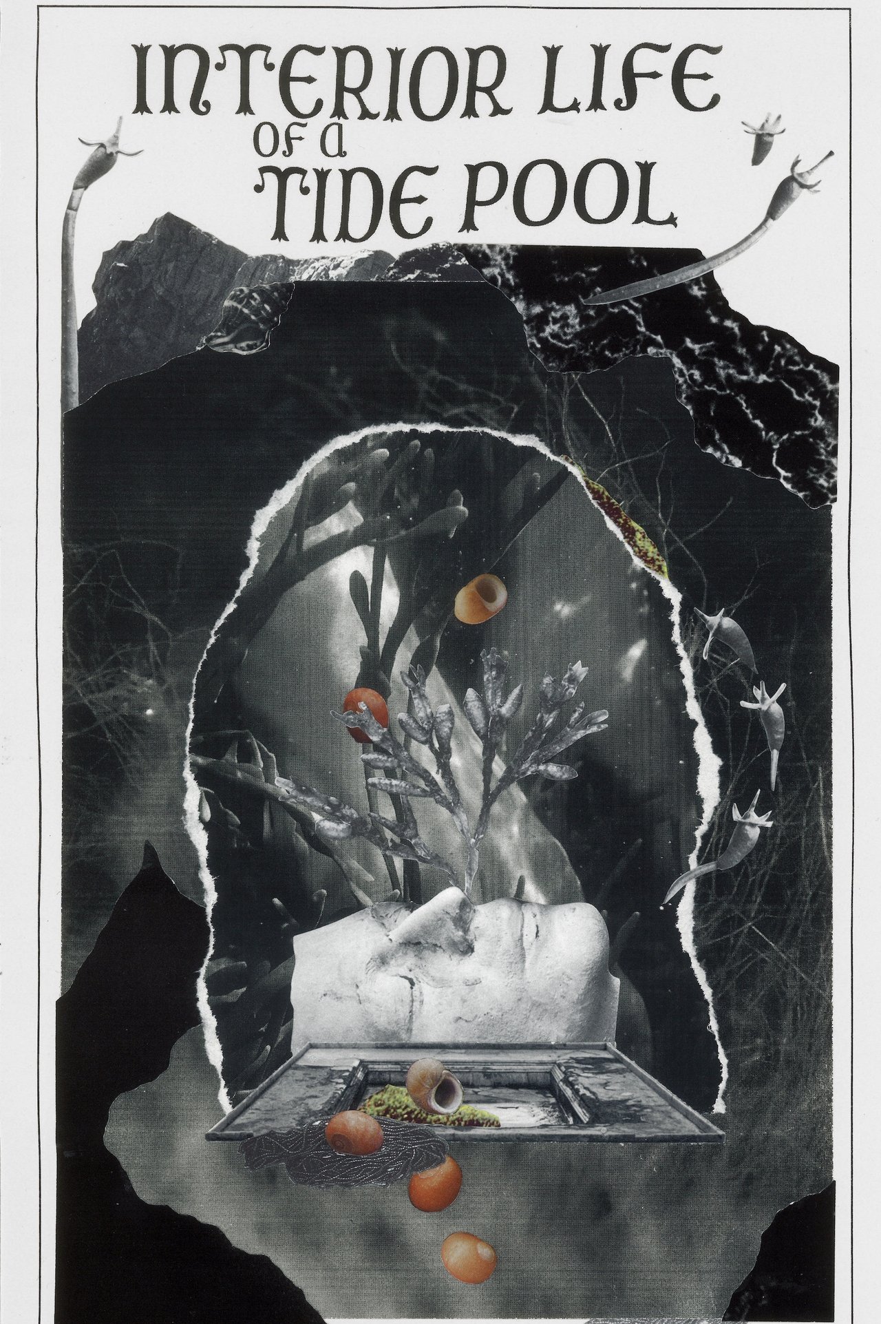 enlarged Poster 0