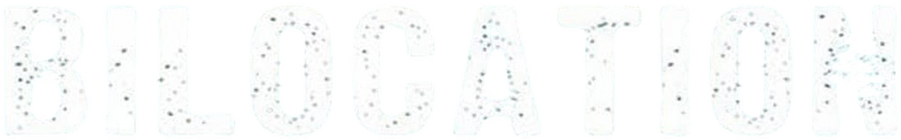 enlarged Logo 0