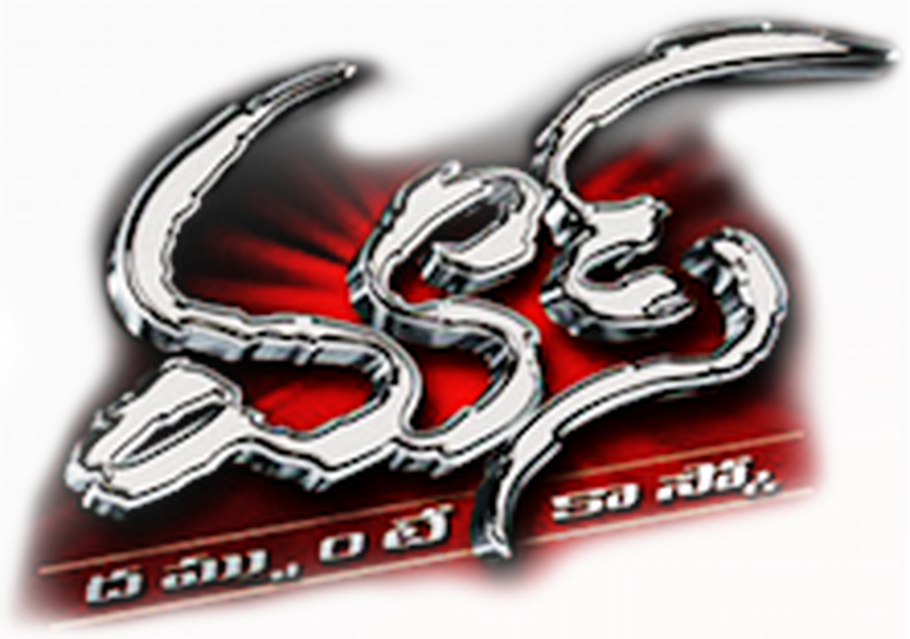 enlarged Logo 0