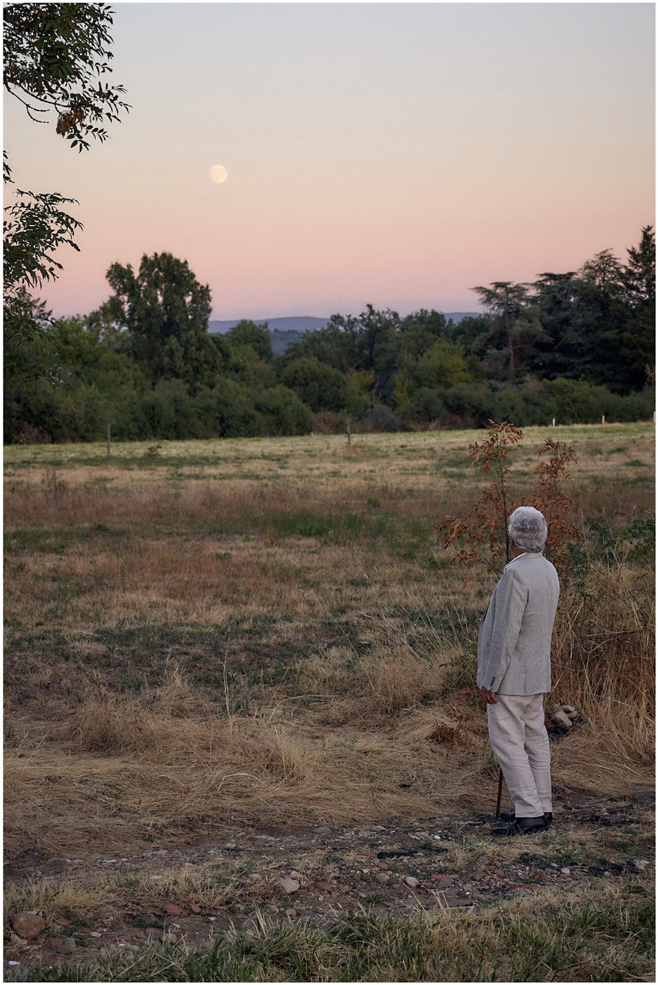 Good Night, Marjorie