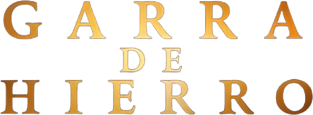 enlarged Logo 0