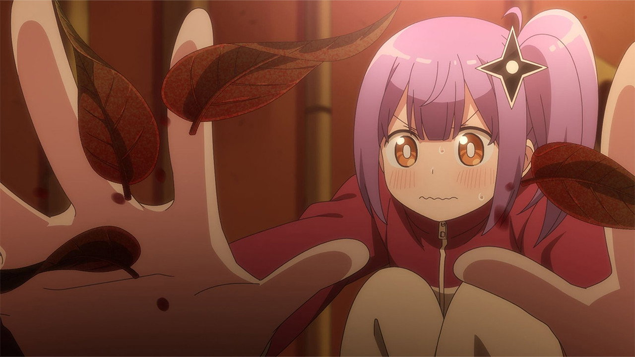 A Ninja and an Assassin's Experiment