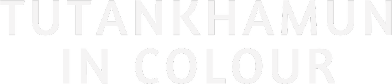 enlarged Logo 0