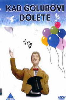 When the Pigeons Arrive