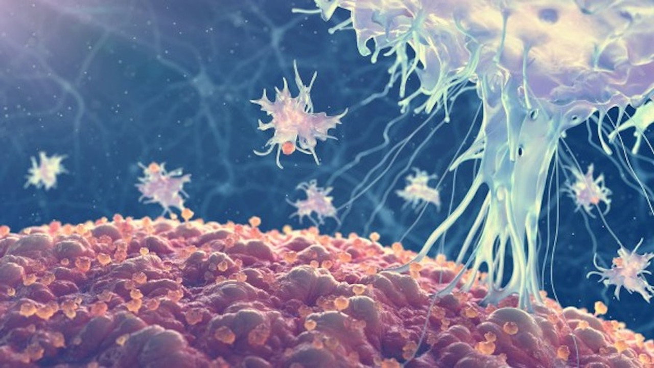 Pathogens and Space Viruses
