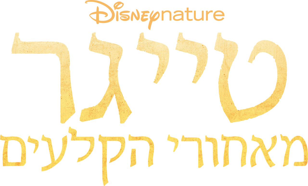 enlarged Logo 0