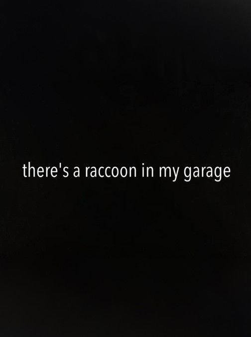 There's a Raccoon in My Garage