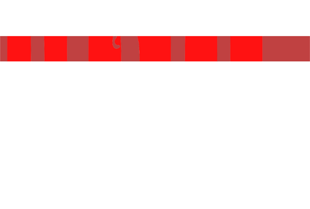 enlarged Logo 0