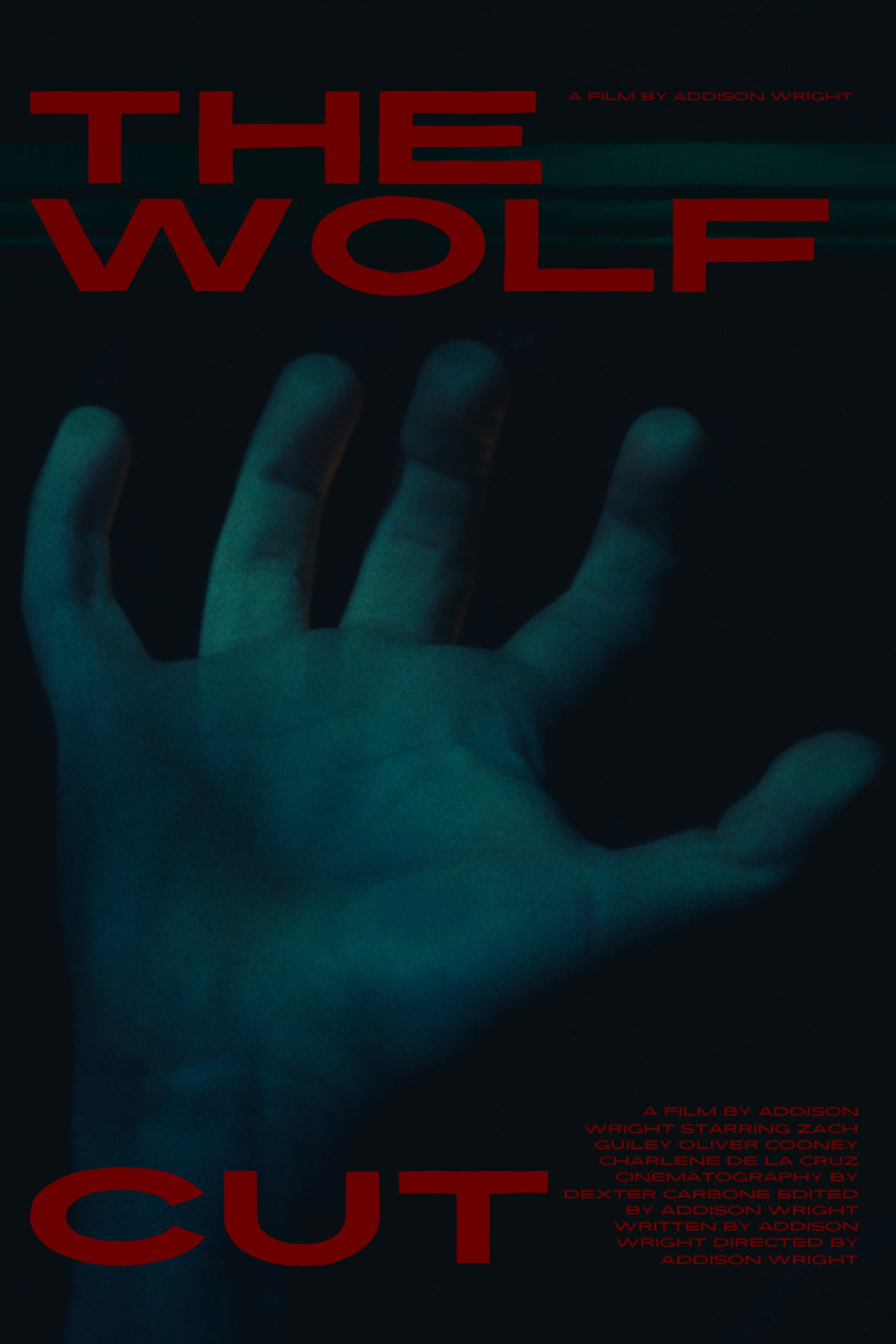 The Wolf Cut