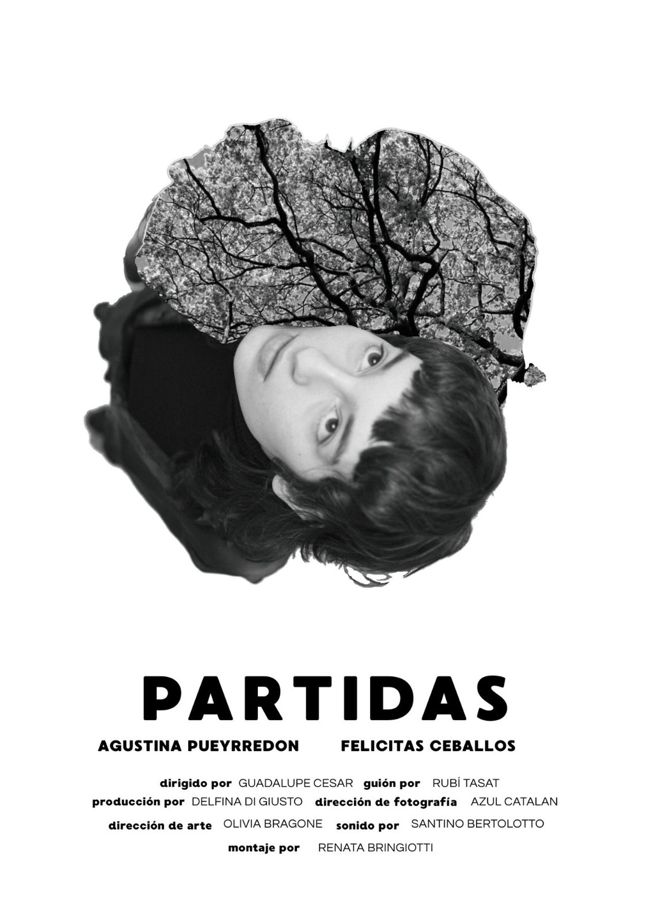 enlarged Poster 0
