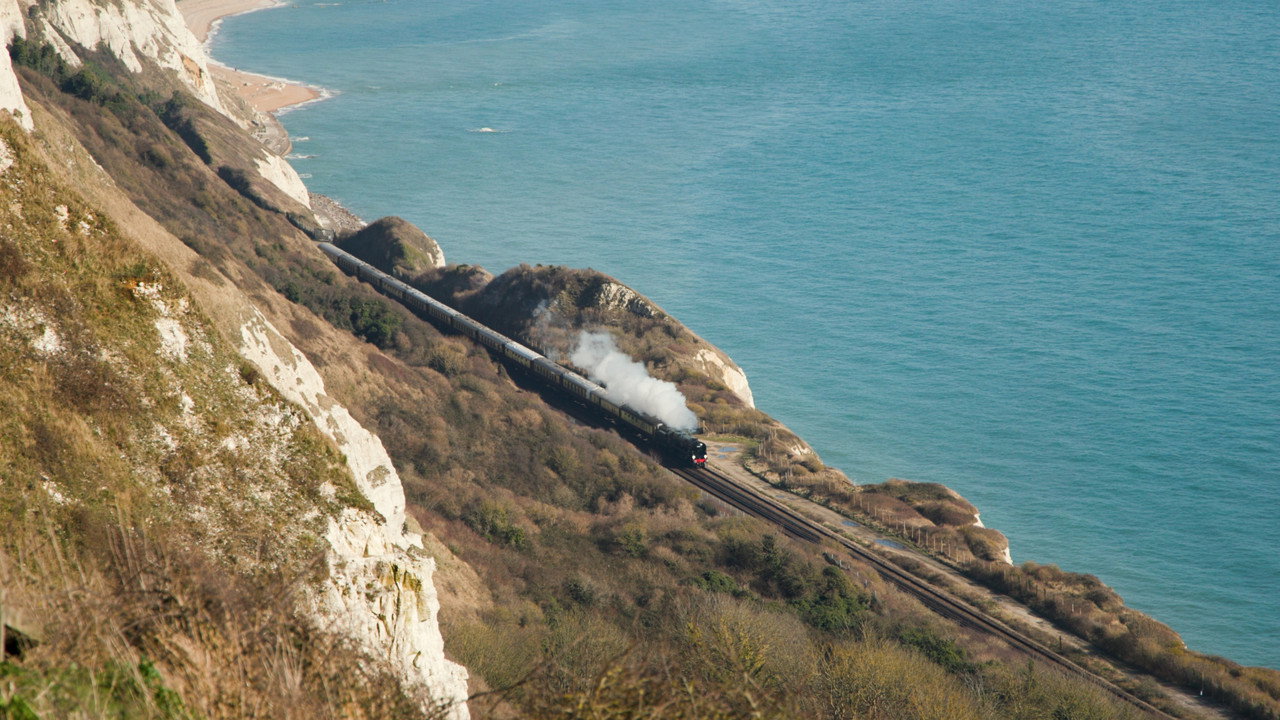 backdrop Down the Line