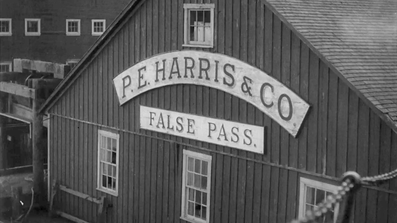 backdrop An Aleutian Adventure