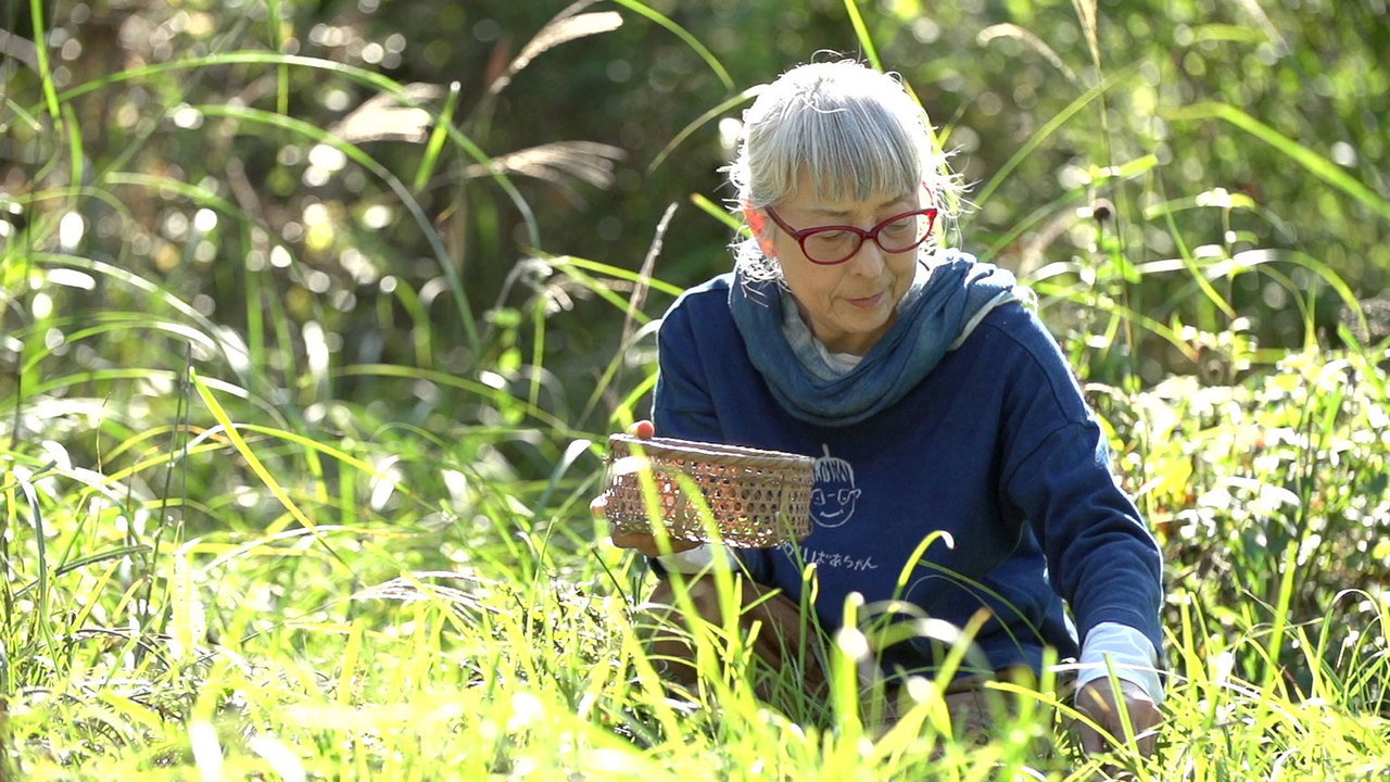 Green Mountain Grandma