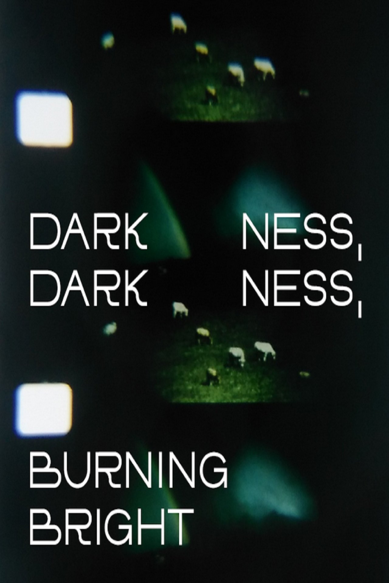 enlarged Poster 0