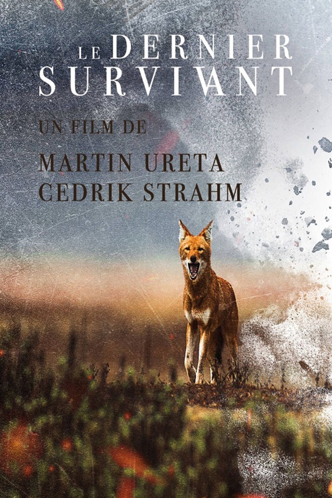 The Last Survivor