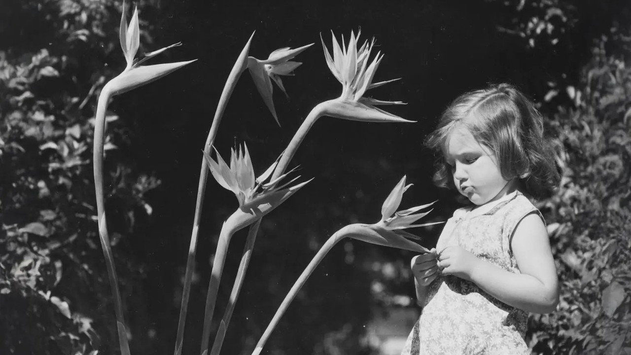 The Charm & Chaos of SoCal's Botanical Landscape