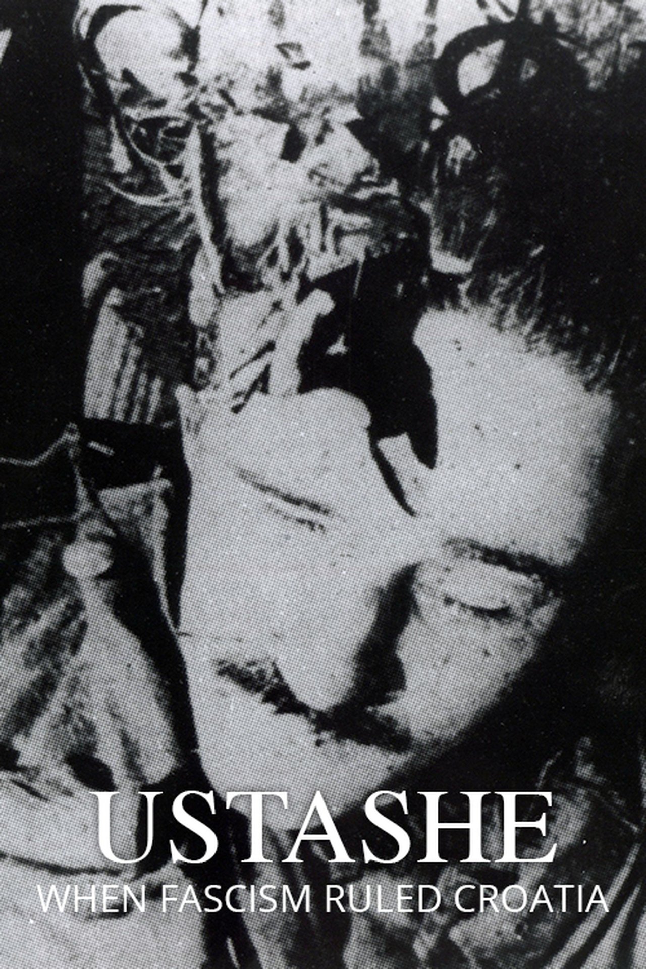 enlarged Poster 0
