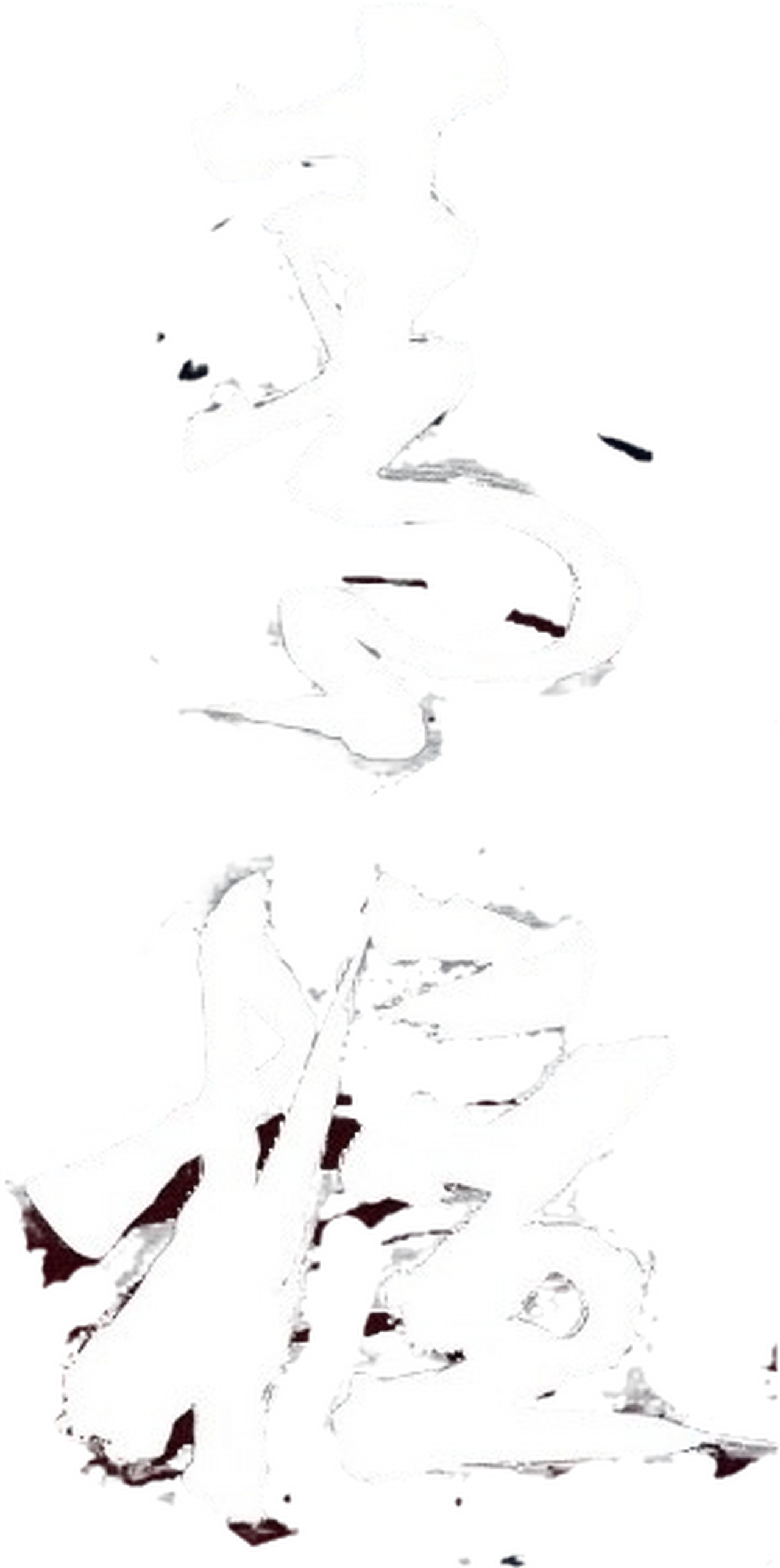 enlarged Logo 0