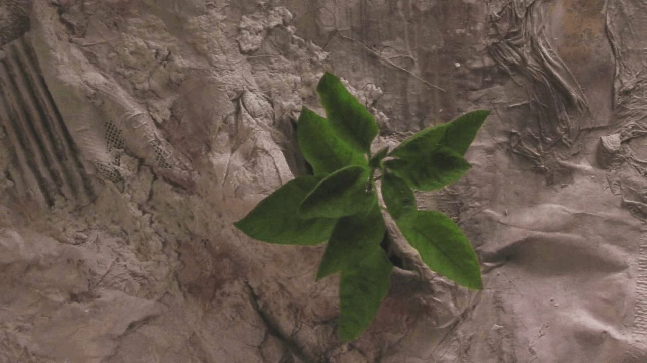 o.micron O.mega (Tiny to Great)