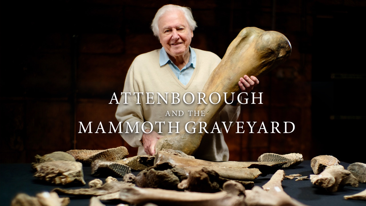 backdrop Attenborough and the Mammoth Graveyard