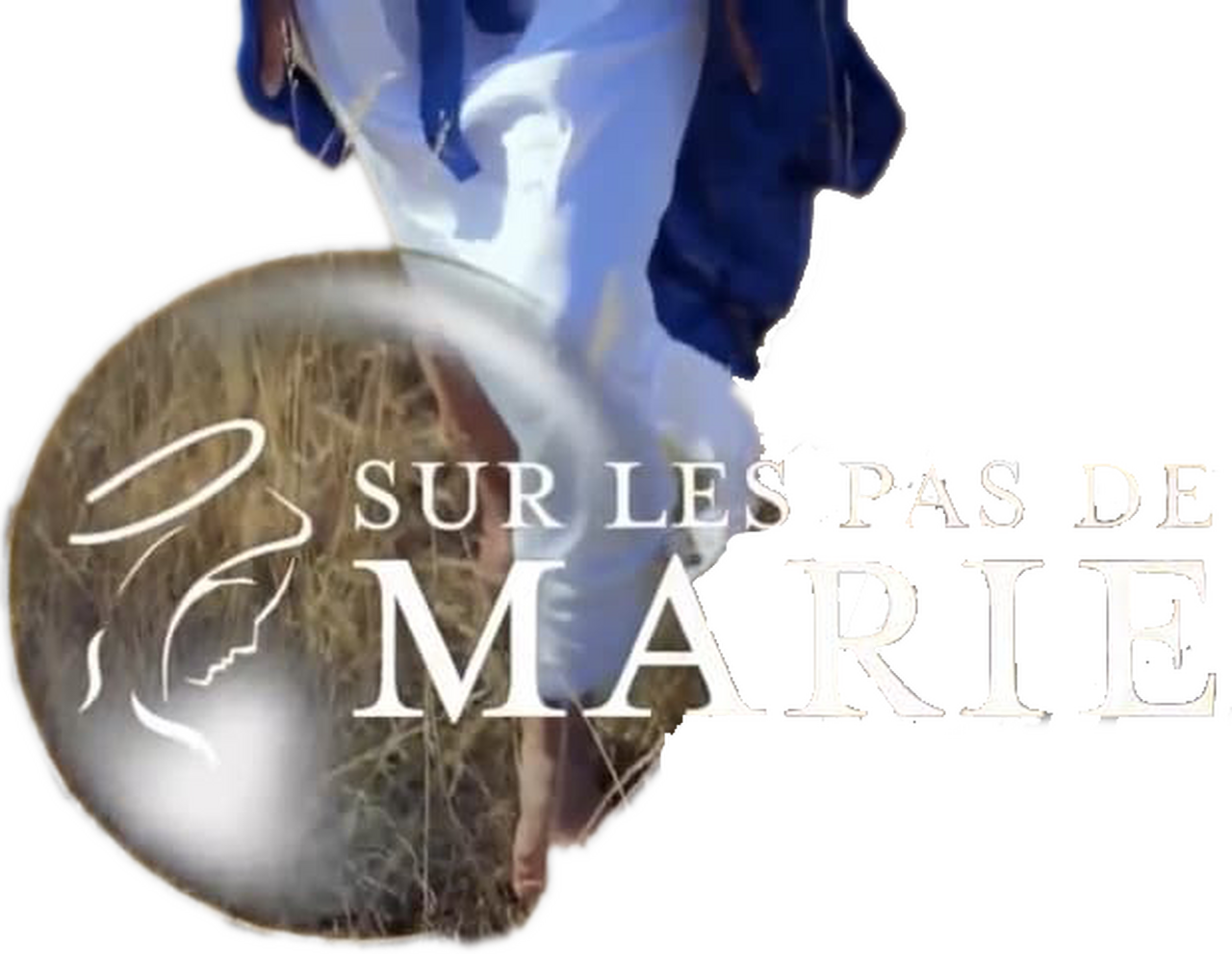 enlarged Logo 0