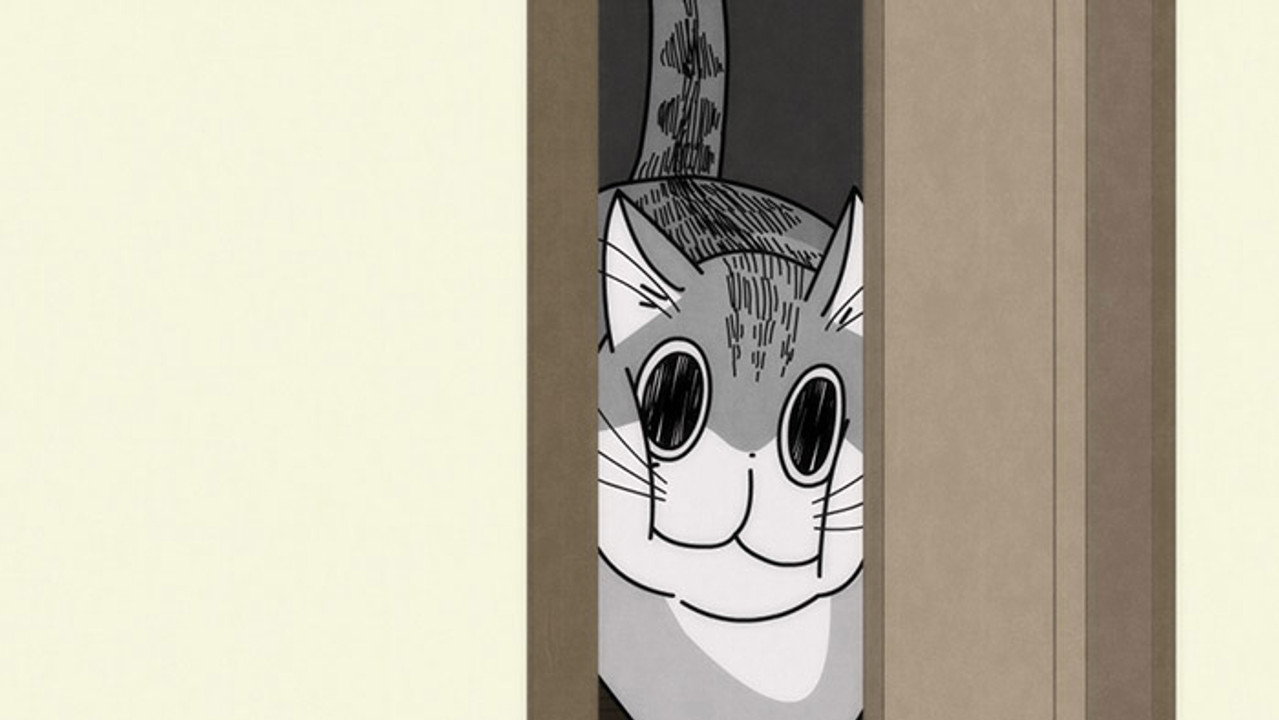 Night 17: Cats Can Pass Through If Their Heads Pass Through