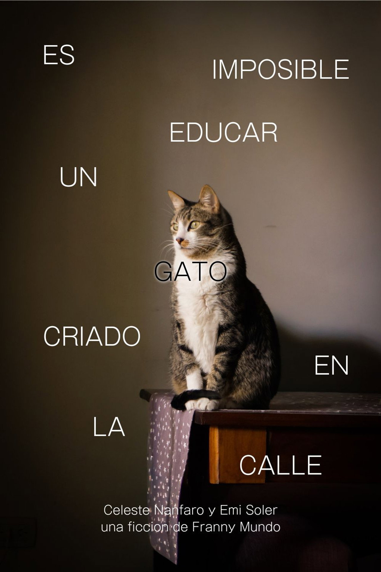 Es Imposible Educar Un Gato Criado en la Calle