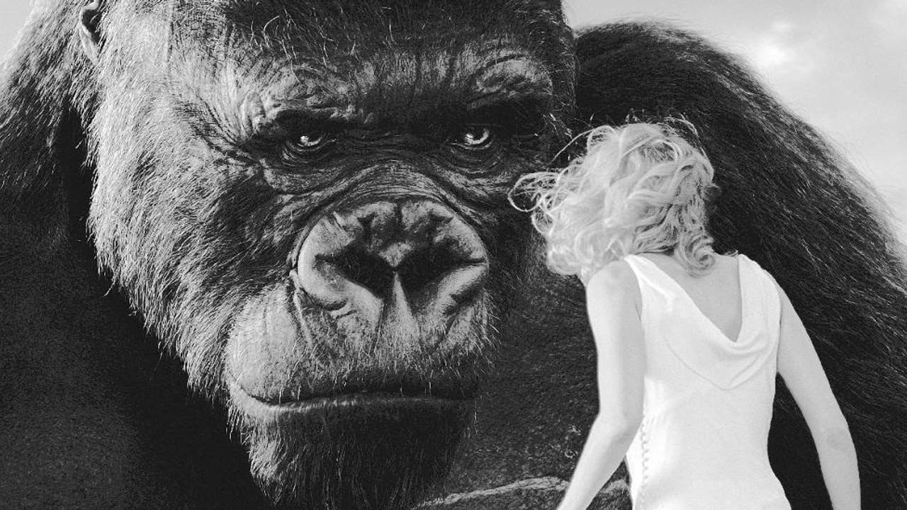King Kong, le cœur des ténèbres