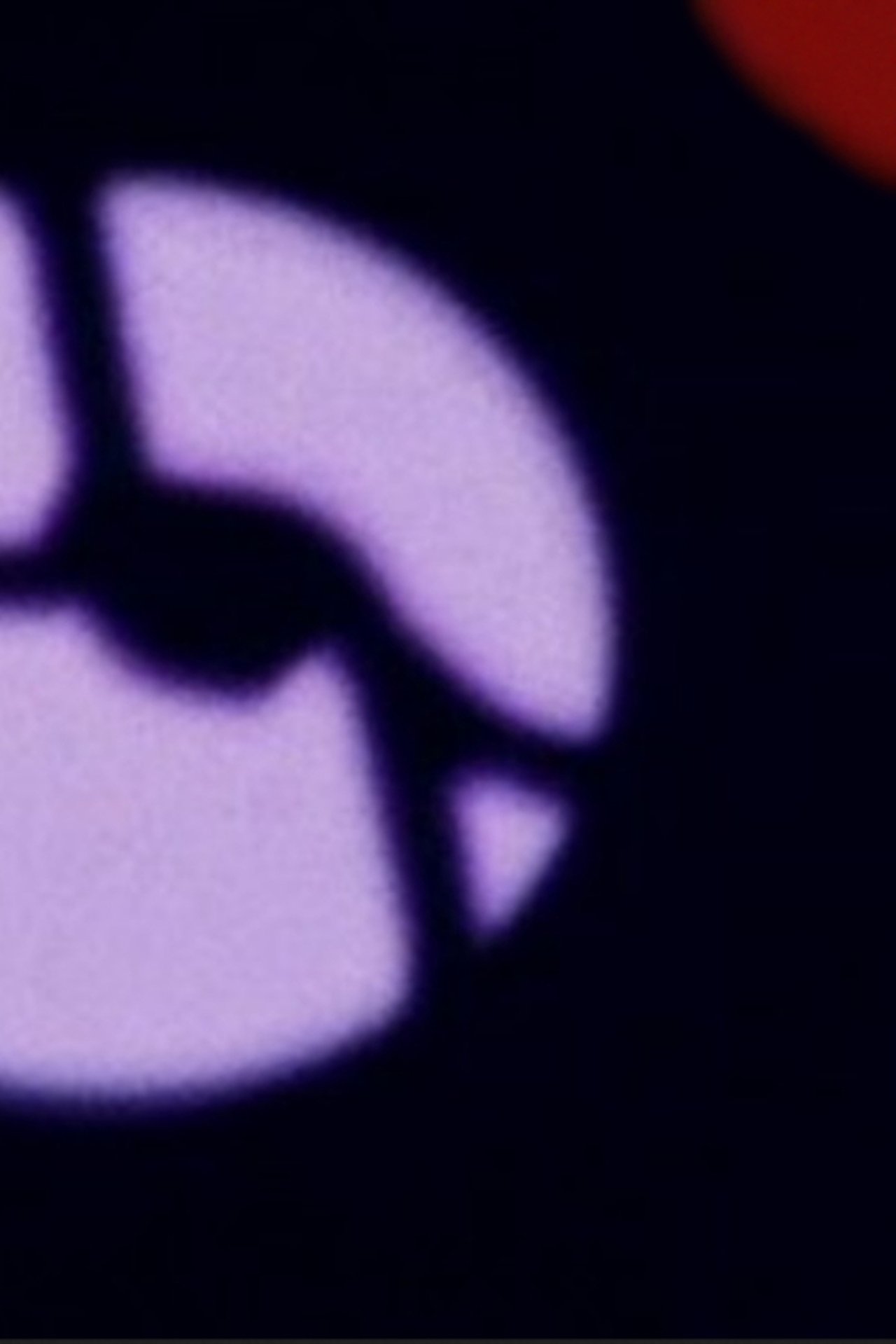 enlarged Poster 0